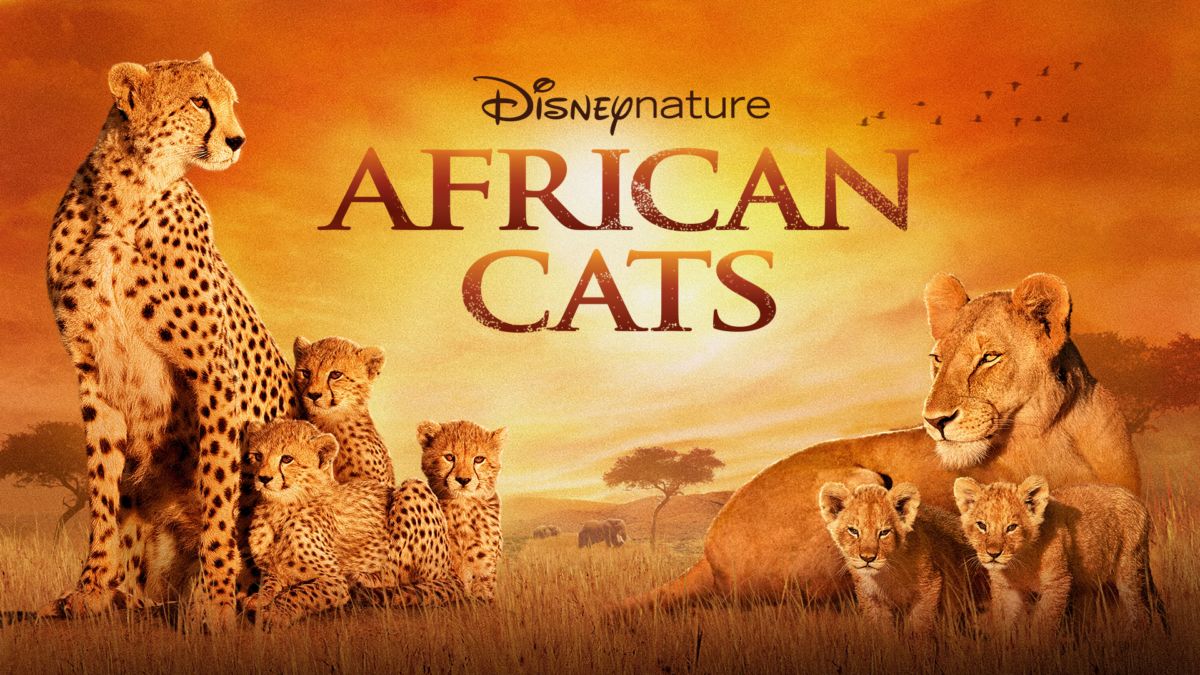 African Cats Documentary