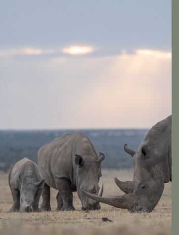 Ol Chorro Rhino Sanctuary